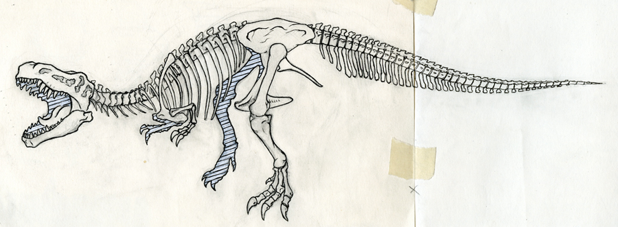 t rex skeleton coloring pages - photo #22