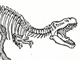 Dino Skeleton